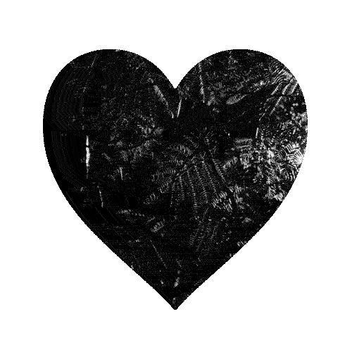 ♥ BONNE ANNEE 2012 ♥